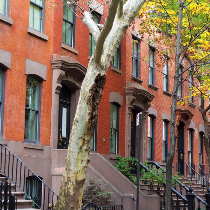 Preparing Your Building for Fall: Essential Maintenance Tips