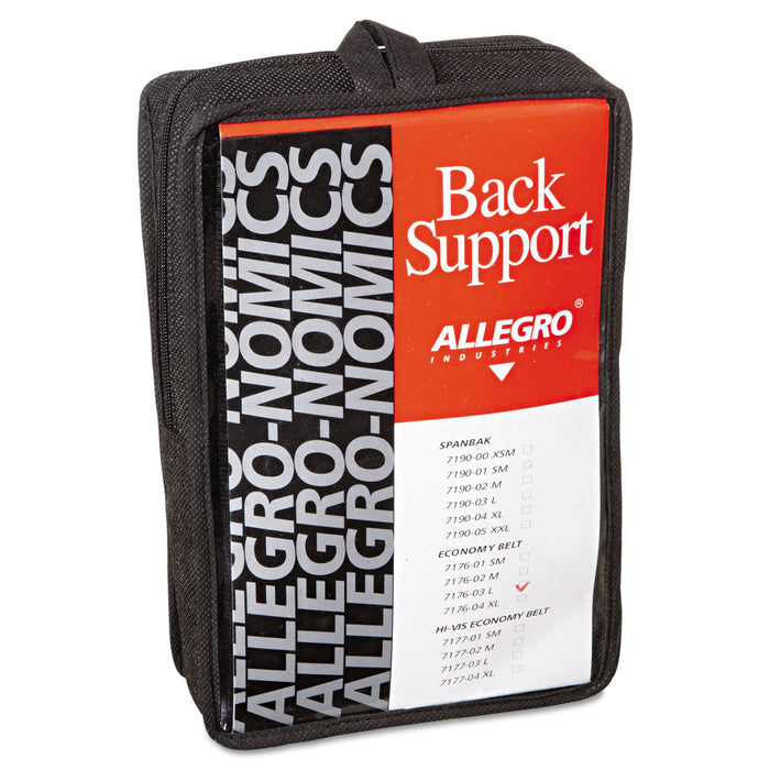 Economy Back Support Belt, Large, Black