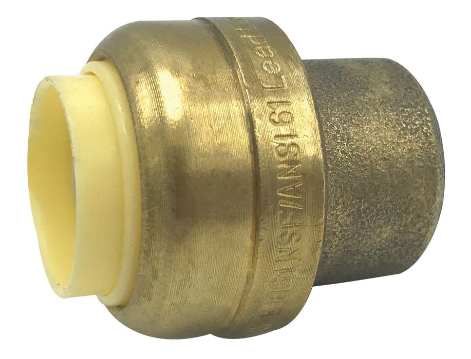 3/4" EZ-Bite Push-Fit Cap