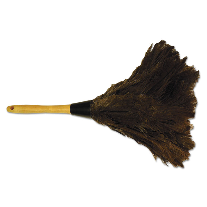 Professional Ostrich Feather Duster, Gray, 14", Wood Handle