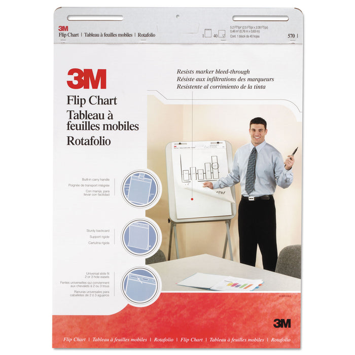 Professional Flip Chart, 25 x 30, White, 40 Sheets, 2/Carton