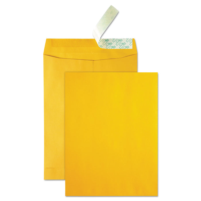 High Bulk Redi-Strip Catalog Envelope, #13 1/2, Cheese Blade Flap, Redi-Strip Closure, 10 x 13, Brown Kraft, 250/Carton