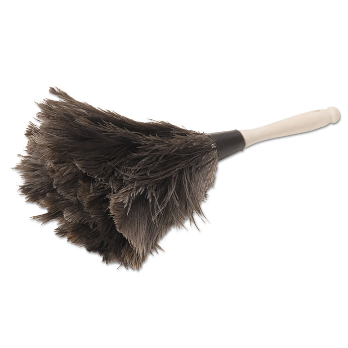 Professional Ostrich Feather Duster, 4" Handle