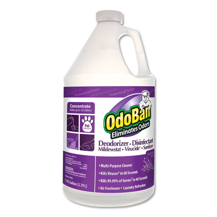Concentrate Odor Eliminator and Disinfectant, Lavender Scent, 1 gal Bottle, 4/Carton