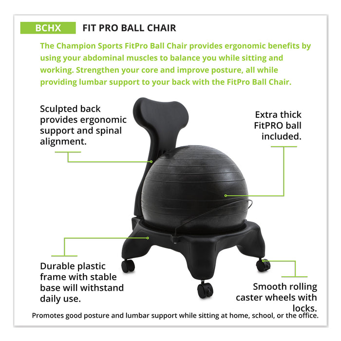 FitPro Ball Chair, Gray/Gray, Gray Base