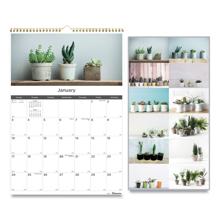 12-Month Wall Calendar, 12 x 17, Succulent Plants, 2021