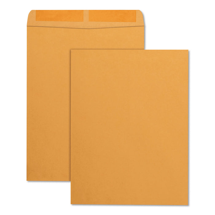 Catalog Envelope, #13 1/2, Cheese Blade Flap, Gummed Closure, 10 x 13, Brown Kraft, 250/Box